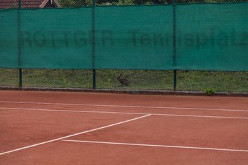Bild 623 - Horst Schroeder Pokal 3. Tag